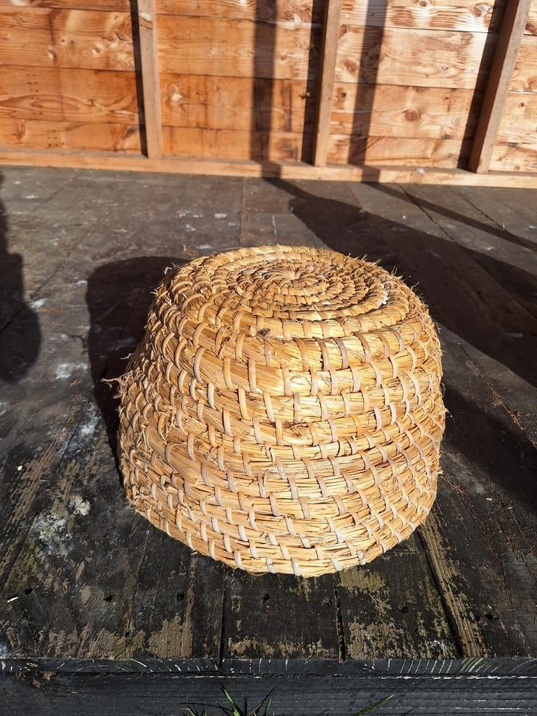 Bijenkorf schepkorf, Overige soorten