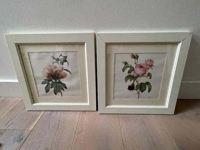 2 x oude litho's rozen / roos . P.J. Redoute. Ingelijst 1939, Antiek en Kunst, Ophalen