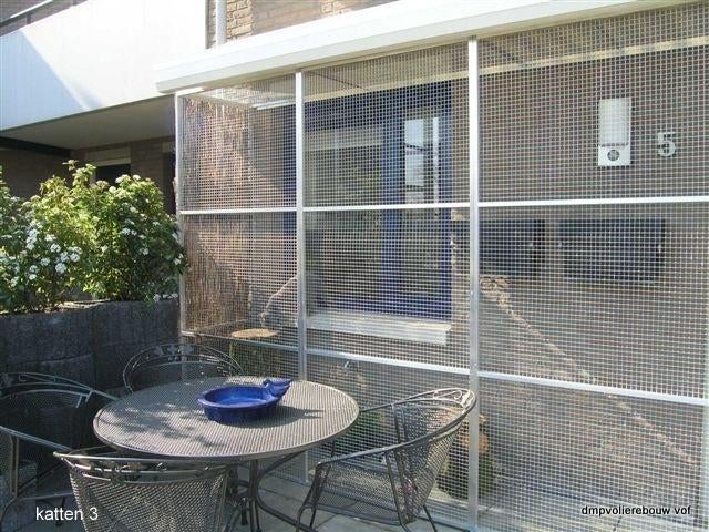 katten ren, Ophalen, Nieuw