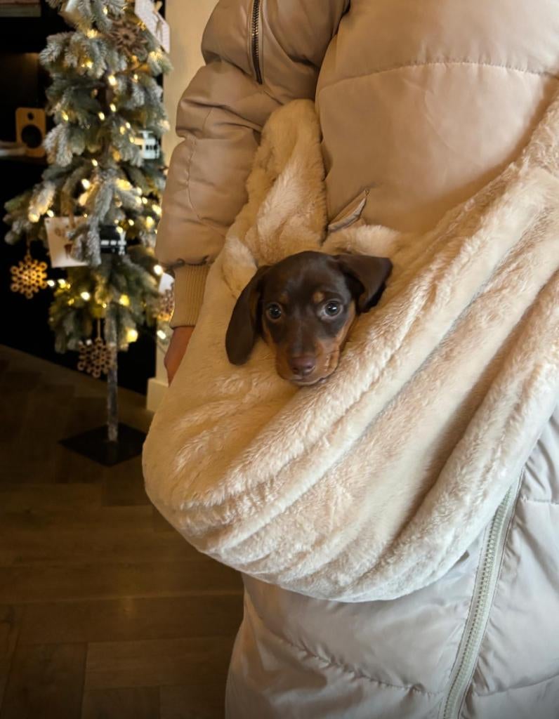 honden draagtas in zachte teddy, taupe, Ophalen of Verzenden, Gebruikt