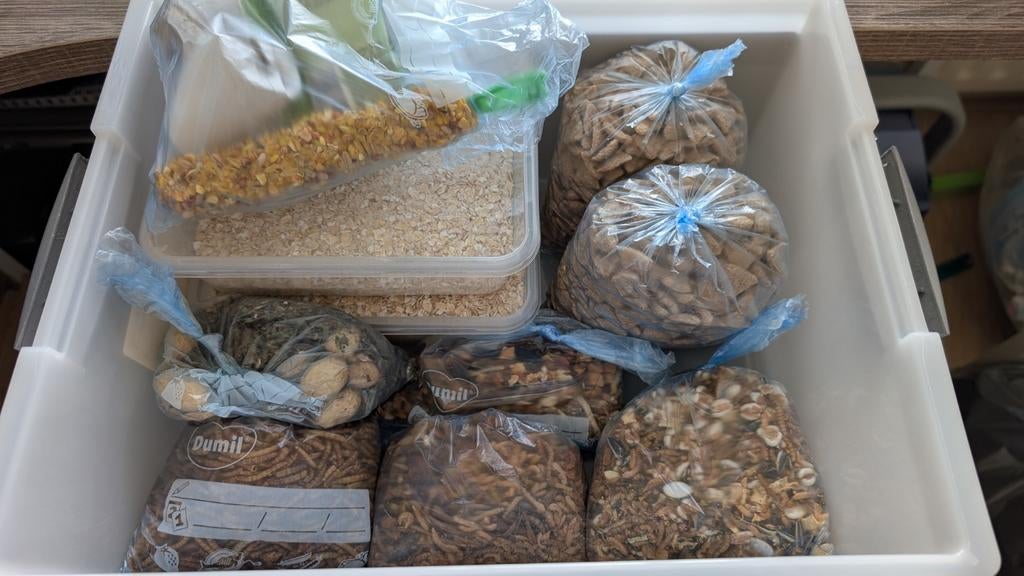 Rattenvoer science selective + veel snackjes/insectenmix enz, Ophalen, Knaagdier of Konijn