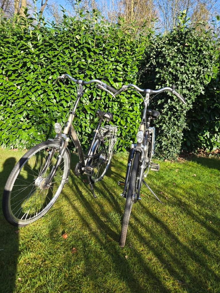 Batavus damesfiets, Versnellingen, Batavus, Ophalen of Verzenden, 53 tot 56 cm