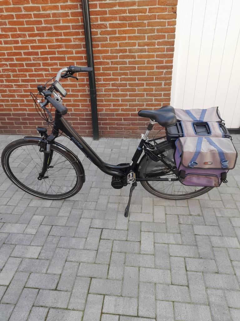 Prophete ebike, Fietsen en Brommers, Elektrische fietsen, Ophalen of Verzenden, Gebruikt, Overige merken