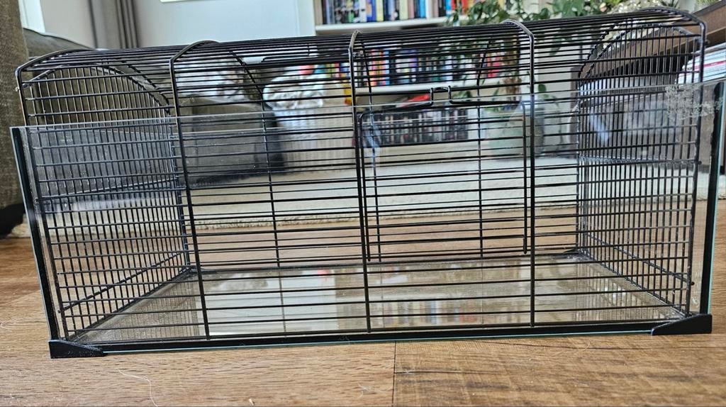 Reishokje/ vakantie verblijf knaagdier, Gebruikt, Minder dan 75 cm, Reiskooi of Transportbox, Cavia