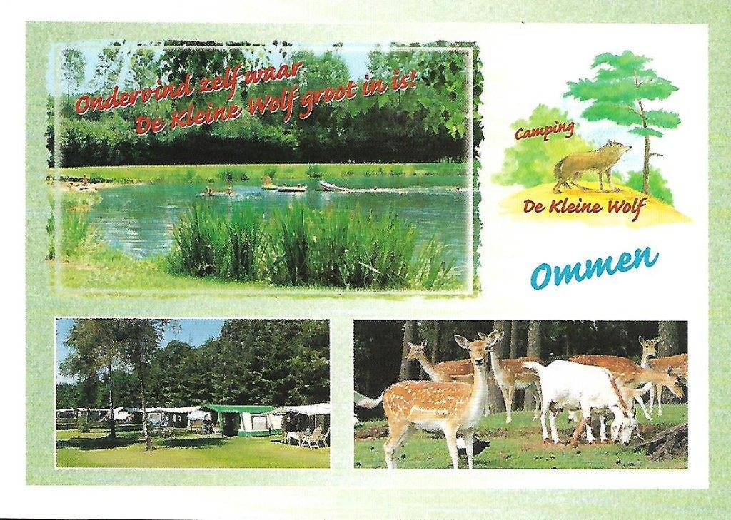 Ommen- -3-luik, de Kleine Wolf., Verzenden, 1980 tot heden, Gelopen, Overijssel