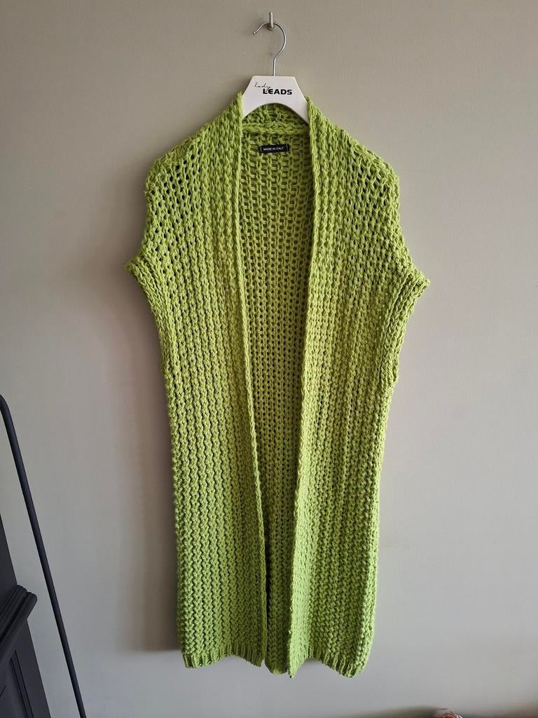 Stoer groen vest 1maat, Kleding | Dames, Ophalen of Verzenden, Nieuw, Groen