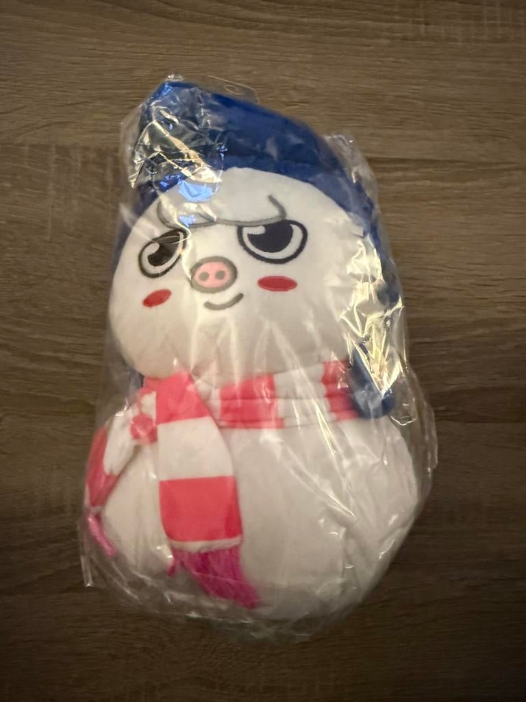 Zeldzame Changbin Stray Kids Dwaekki SKZOO xmas popup Japan, Ophalen of Verzenden, Nieuw, Overige typen