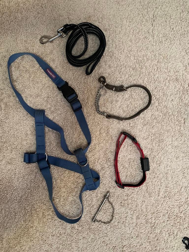 Diverse hondenriemen /tuigjes halsbanden €15,-, Dieren en Toebehoren, Ophalen of Verzenden, Gebruikt