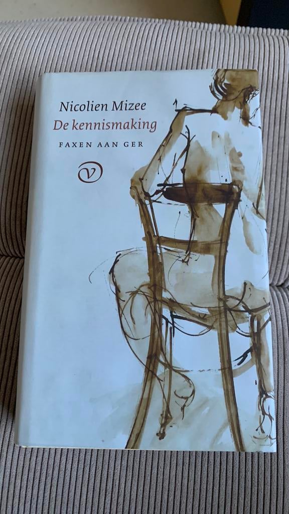 Nicolien Mizee - De kennismaking, Ophalen of Verzenden, Zo goed als nieuw, Nicolien Mizee