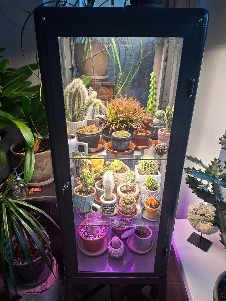 T.K Fabrikor ikea Vitrinekast, Ophalen, Gebruikt, 50 tot 100 cm, Metaal