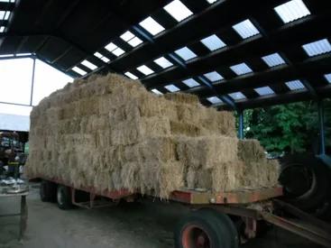 hooibalen, Dieren en Toebehoren, Ophalen, Vee