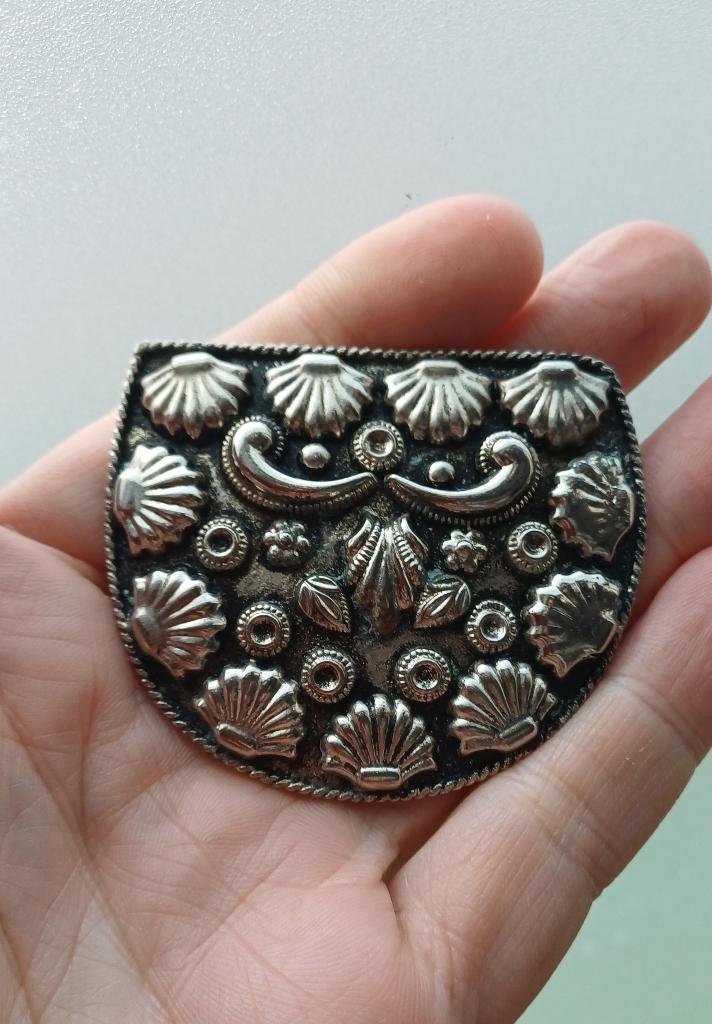 Hele grote oude broche, Sieraden, Tassen en Uiterlijk, Broches, Ophalen of Verzenden, Zo goed als nieuw, Zilver, Overige materialen