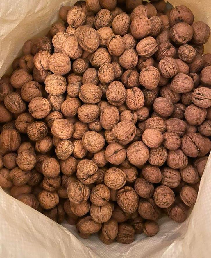 Walnoten, Diversen, Levensmiddelen, Ophalen