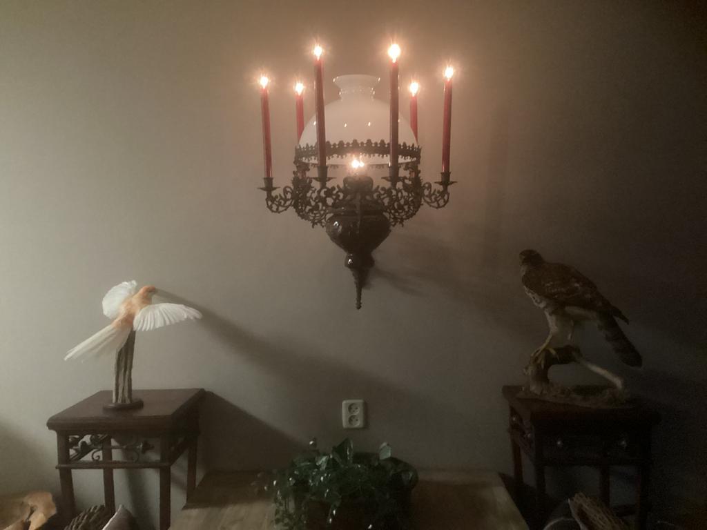 Grote olielamp, Ophalen of Verzenden