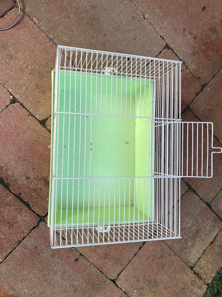 Kooi knaagdier, Dieren en Toebehoren, Kooi, Gebruikt, Minder dan 75 cm, Hamster