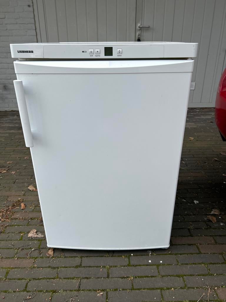 Liebherr Vrieskist - gebruikt, Ophalen of Verzenden, Zo goed als nieuw