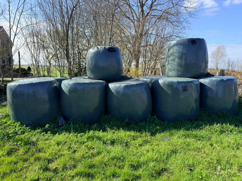 Kuilpakken, Dieren en Toebehoren, Dierenvoeding, Ophalen, Vee