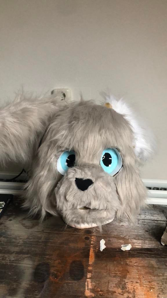 Fursuit, Hobby en Vrije tijd, Ophalen of Verzenden