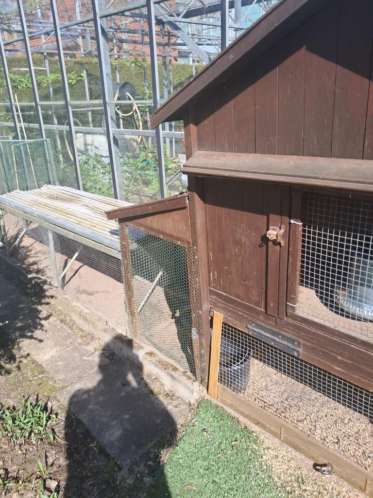 Kippenhok met ren en toebehoren, Ophalen, Gebruikt, Kippenhok of Kippenren