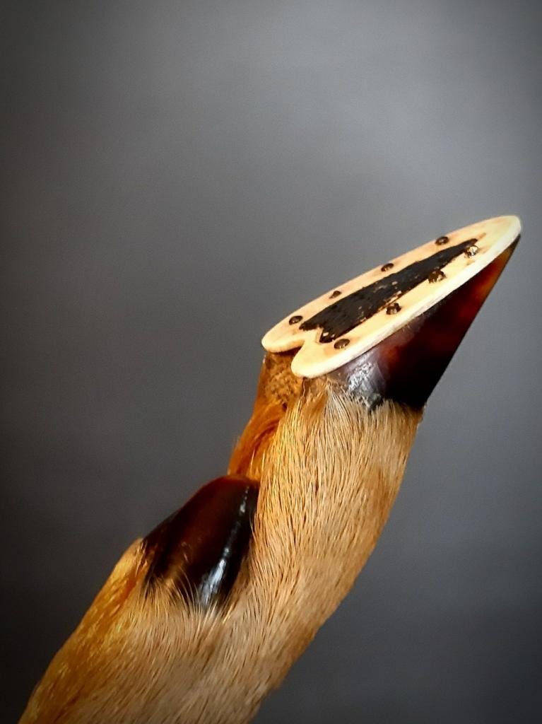 Unieke Taxidermie Hertenpoot page turner antiek, Ophalen of Verzenden