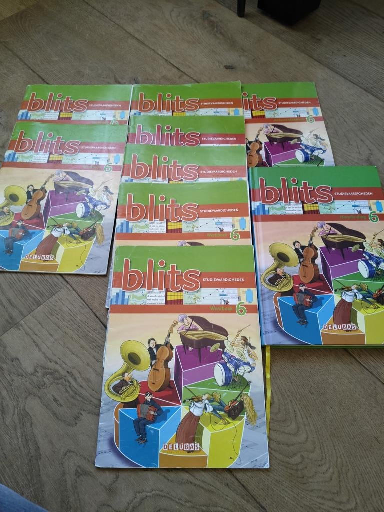 Blits Studievaardigheden Groep 6 Werkboeken (Set), Ophalen, Gelezen, Overige niveaus