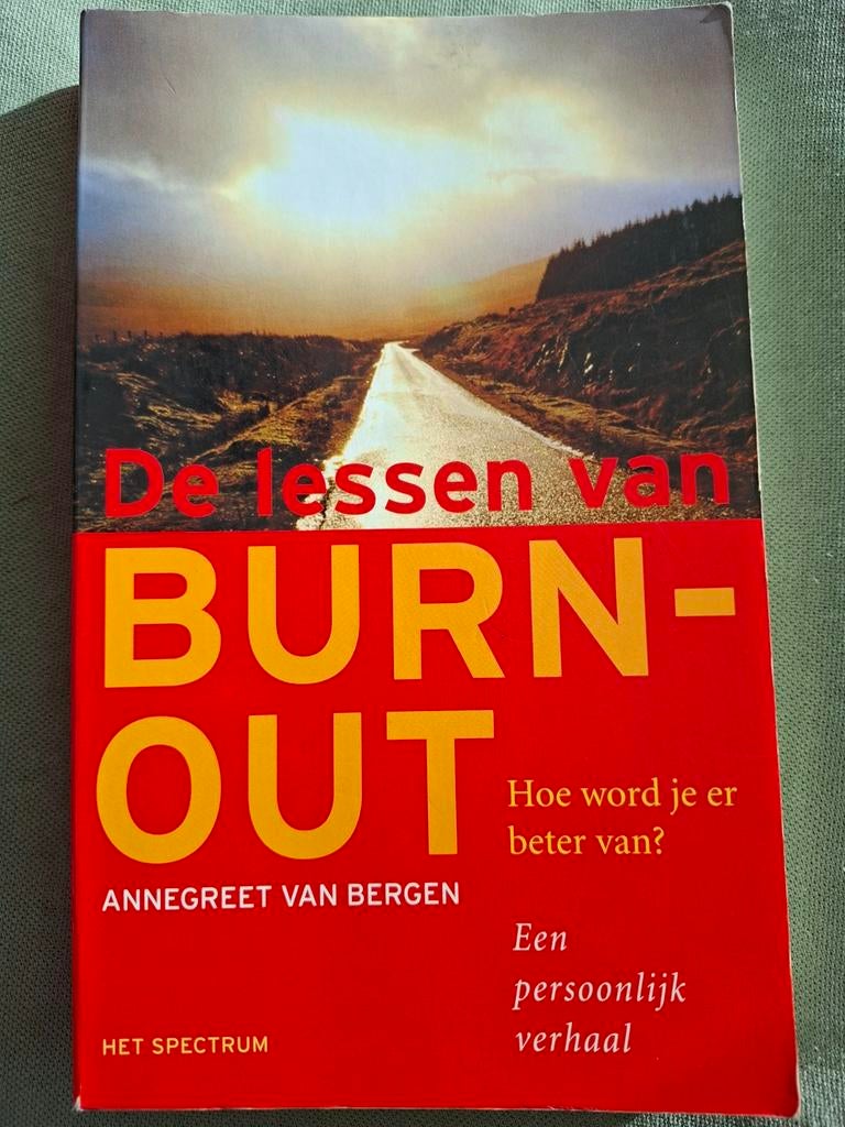 A. van Bergen - De lessen van burn-out, Ophalen of Verzenden, A. van Bergen, Ontwikkelingspsychologie, Zo goed als nieuw