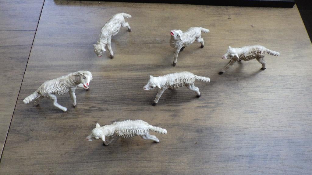 leuke oude schaapjes, Ophalen of Verzenden, Gebruikt