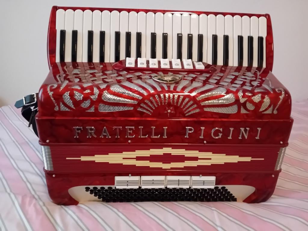 Fratelli Pigini Accordeon 120 bas, Zo goed als nieuw, Met koffer, 120-bas, Ophalen