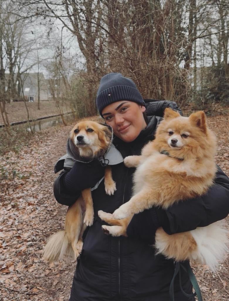 Liefdevolle en betrouwbare honden, katten oppas in Den Haag!, Dieren en Toebehoren, Ophalen