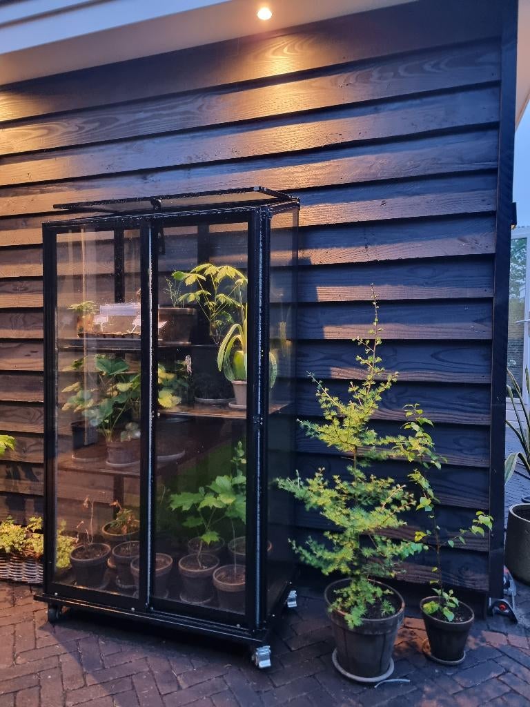 Luxe Verrijdbare Muurkas Pikasso – Kant-en-klaar Geleverd, Tuin en Terras, Kassen, Muurkas, Nieuw, Ophalen of Verzenden, Glas