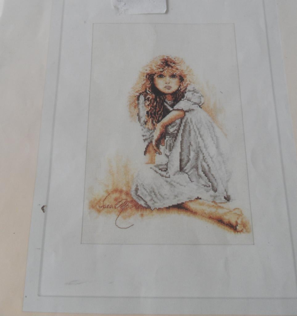 Lanarte Sara moon pakket zie foto's, Ophalen of Verzenden, Nieuw, Handborduren, Borduurpakket