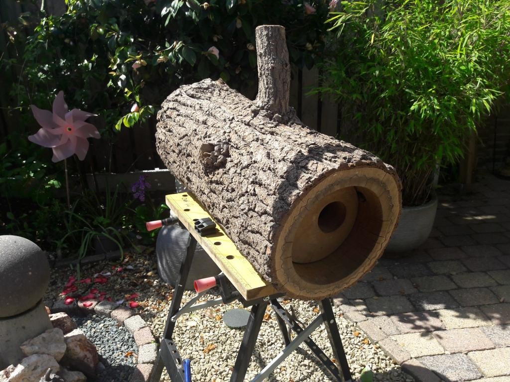 Steenuilen boomstam., Roofvogel