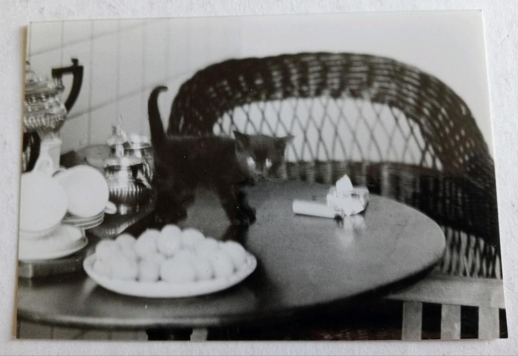 Coentje de Kat Poes Kitten op tafel, Ophalen of Verzenden, 1980 tot heden, Zo goed als nieuw, Dier