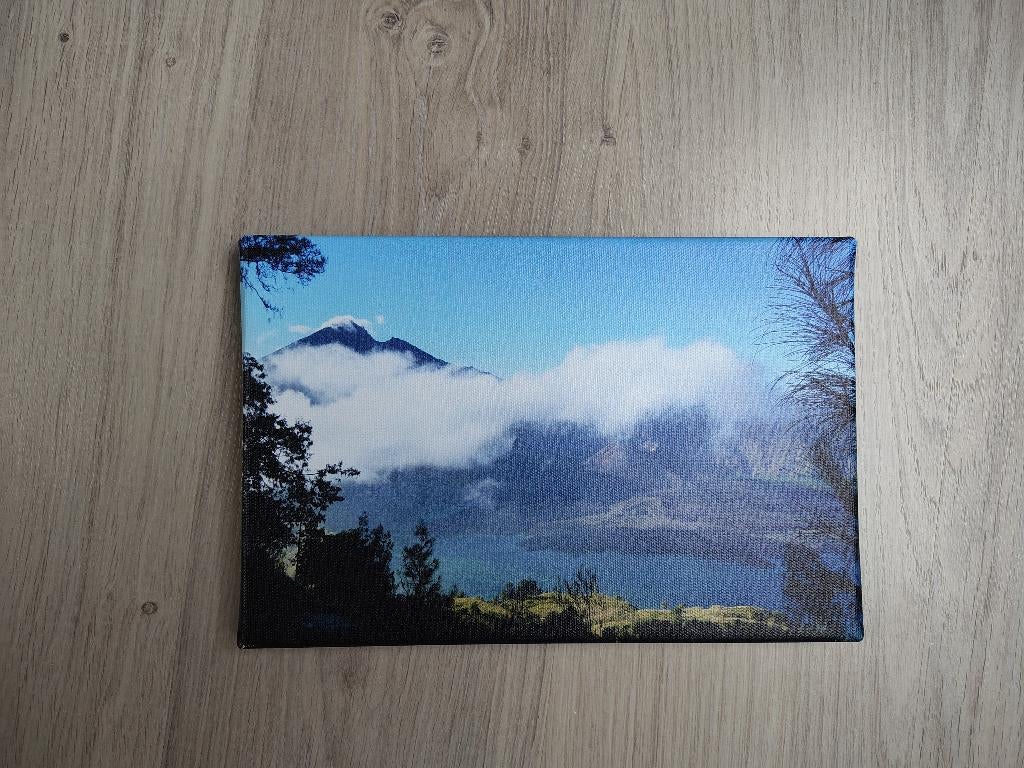 Canvas foto's, Ophalen, Minder dan 50 cm, Nieuw, Schilderij