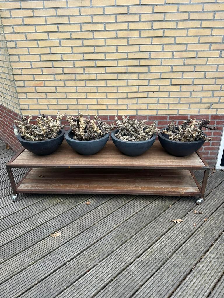 Sallontafel  hout, Ophalen, Gebruikt, 100 tot 150 cm, 50 tot 100 cm