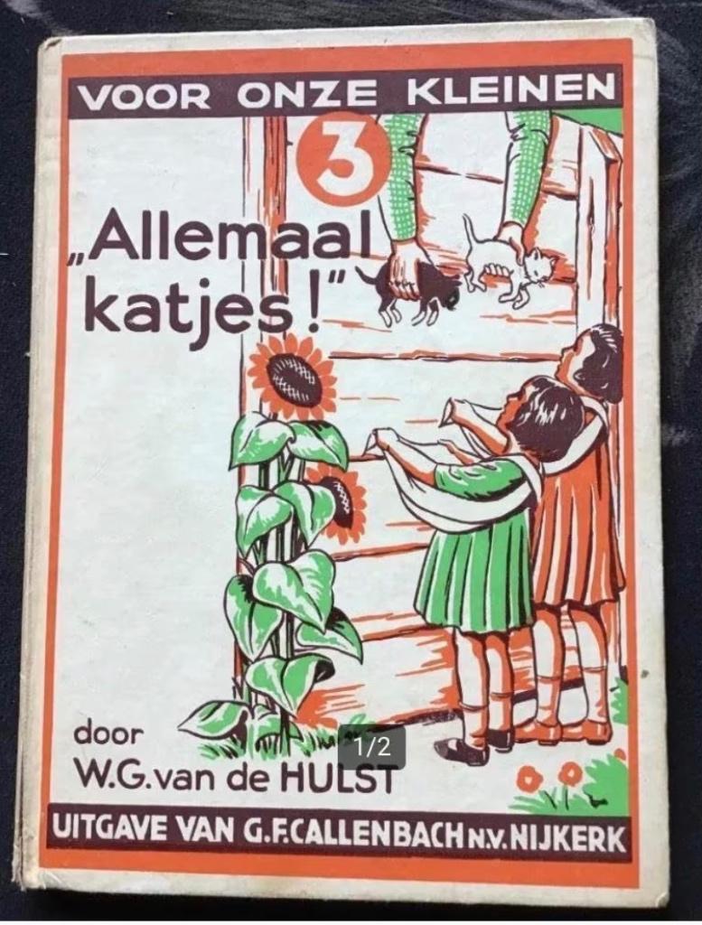 Allemaal katjes door W.G.van de Hulst, Ophalen of Verzenden, Gelezen, Fictie algemeen
