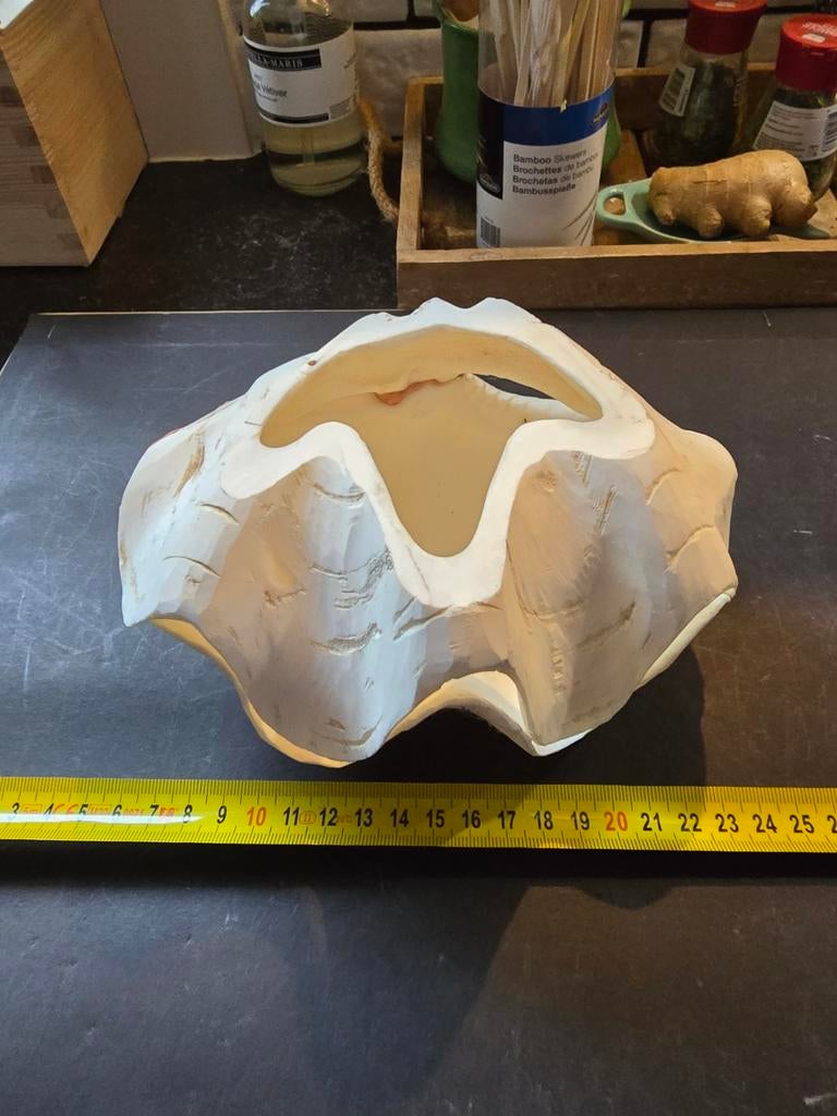 Schelp plantenbakjes, Ophalen of Verzenden