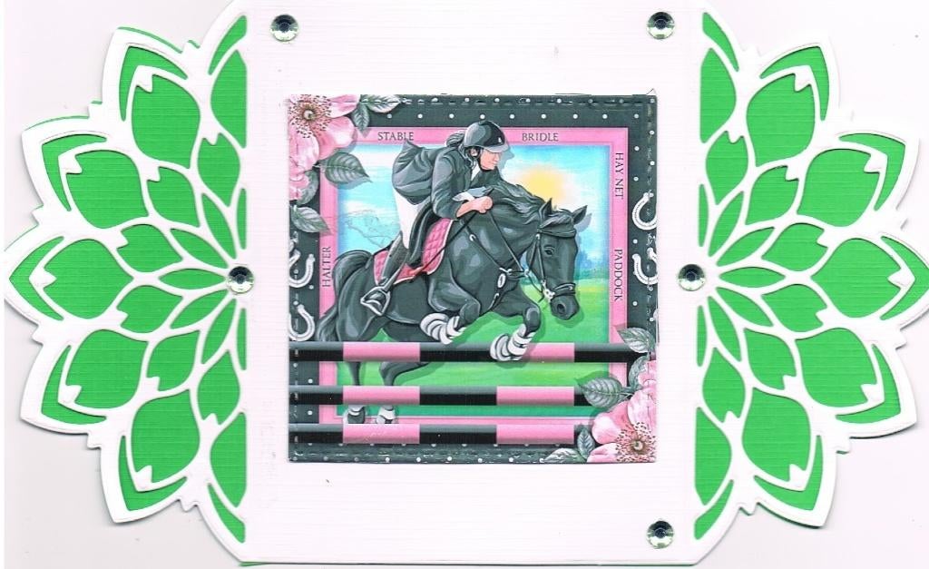 paardenkaart, Ophalen of Verzenden, Nieuw, Dieren