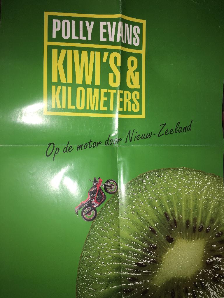 Yogho Yogho Campina / Binnenhof R.Das / Polly Evans posters, Verzamelen, Ophalen of Verzenden, Zo goed als nieuw, Overige typen