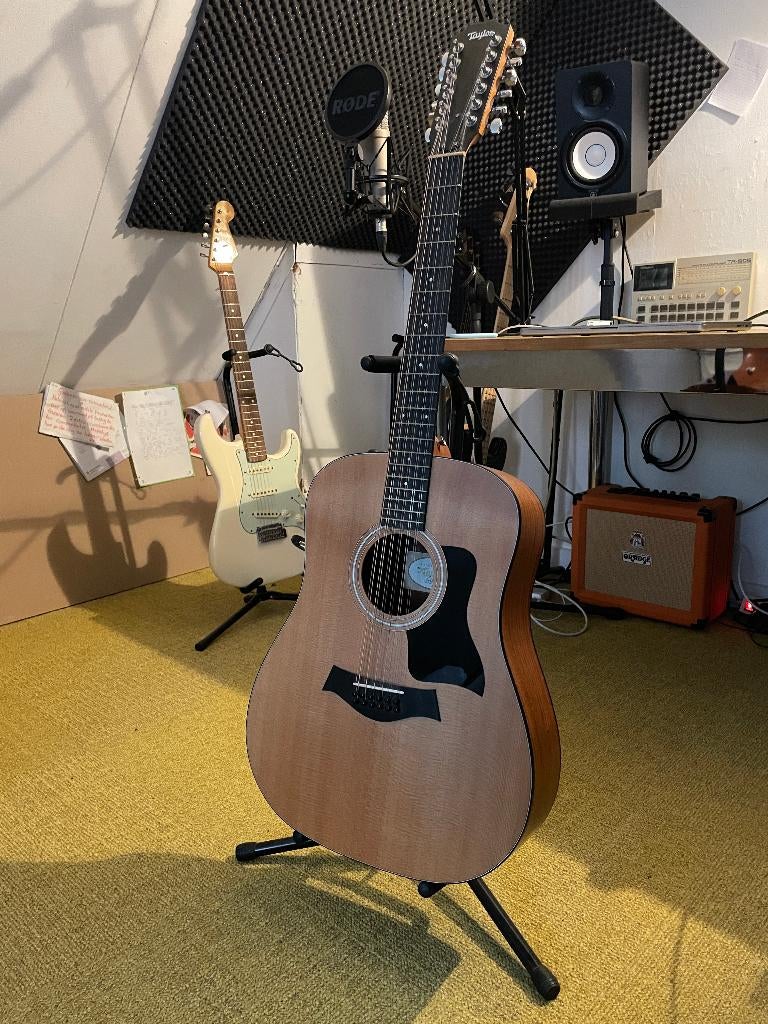 Taylor 150e - 12 snarige semi-akoestische gitaar, Muziek en Instrumenten, Ophalen, Zo goed als nieuw, Western- of Steelstringgitaar