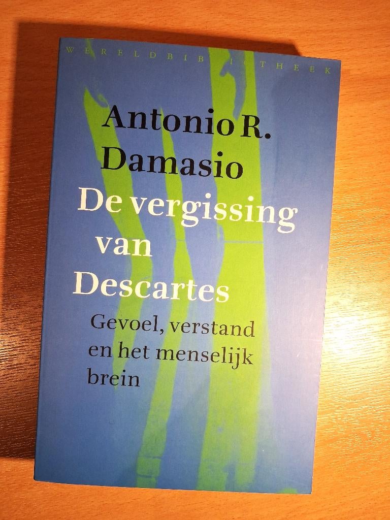 De vergissing van Descartes, Boeken, Overige Boeken, Zo goed als nieuw, Ophalen of Verzenden