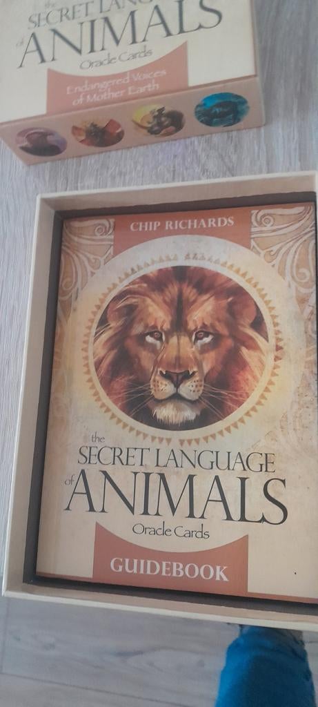 Tarot ,orakel inzicht en healing kaarten vraag naar de prijs, Boeken, Ophalen of Verzenden, Zo goed als nieuw, Tarot of Kaarten leggen