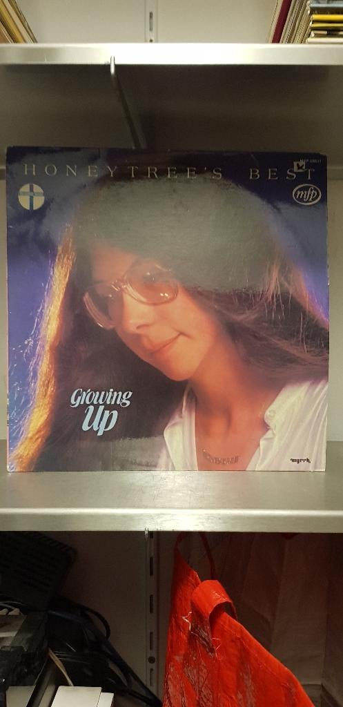 Honeytrees best-growing up (Z221-124), Ophalen of Verzenden, Zo goed als nieuw, Overige formaten