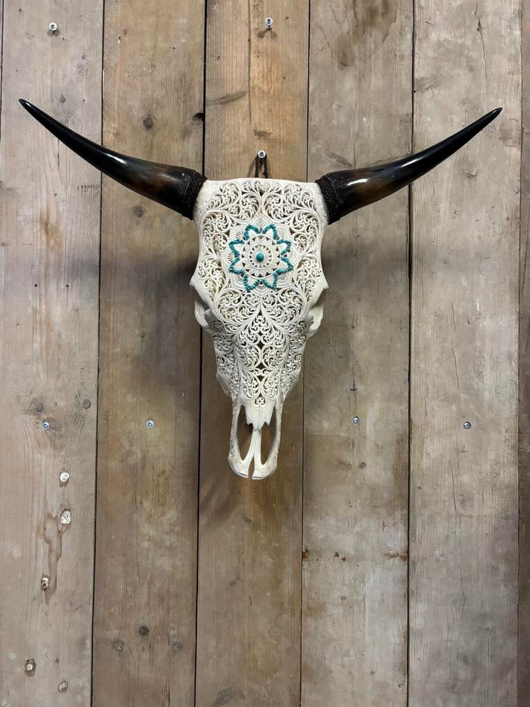 Mooie gegraveerde koe schedel XL, Verzamelen, Dierenverzamelingen, Nieuw, Schedel, Overige soorten, Ophalen of Verzenden