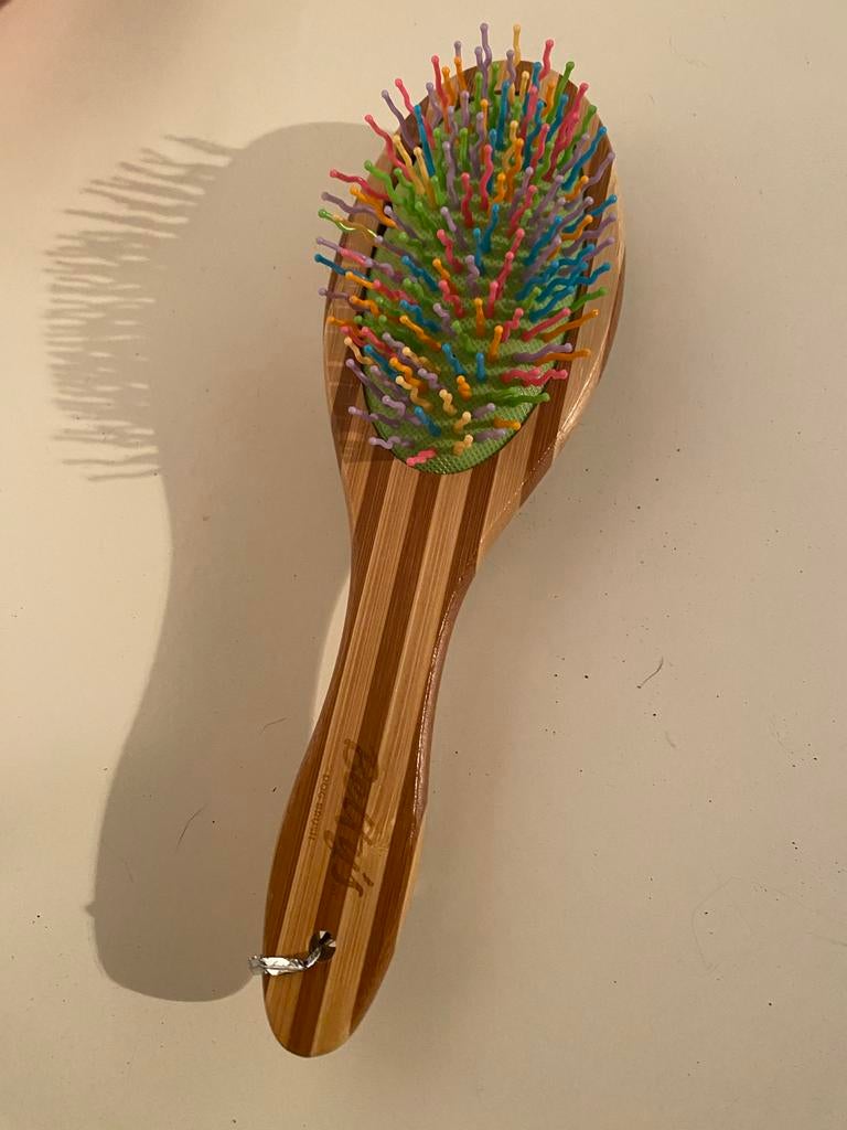 Honden borstel, Ophalen of Verzenden, Gebruikt