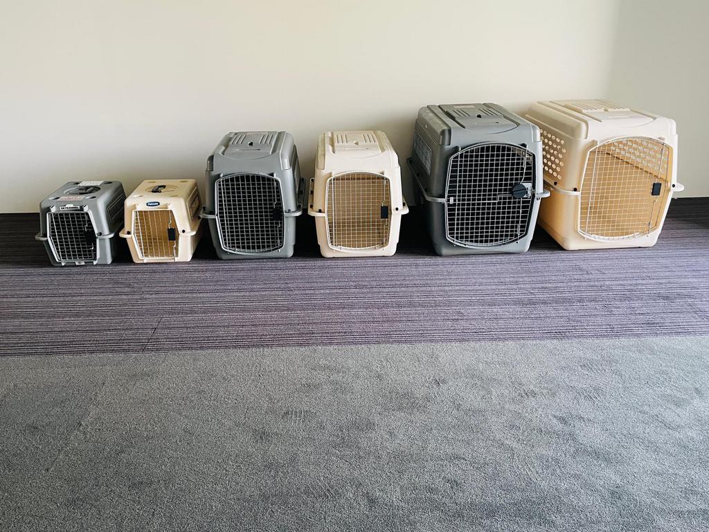 Sky kennel transportbox +korting hond/kat/huisdier 3 maten, Ophalen of Verzenden, Zo goed als nieuw