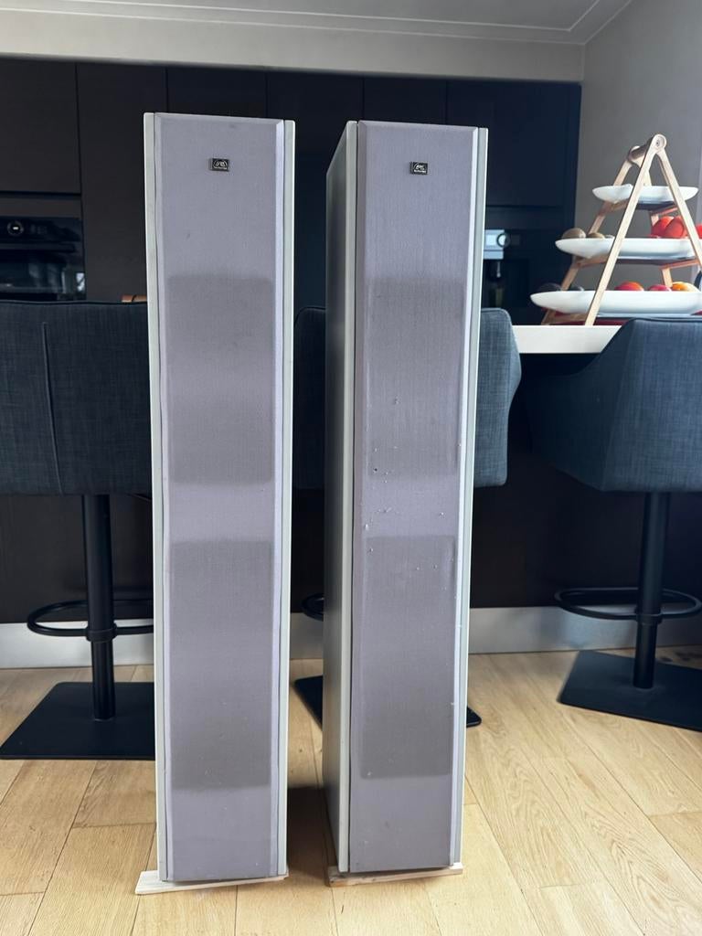 The Pied Piper Aura speakers, Gebruikt, 120 watt of meer, Front, Rear of Stereo speakers, Ophalen