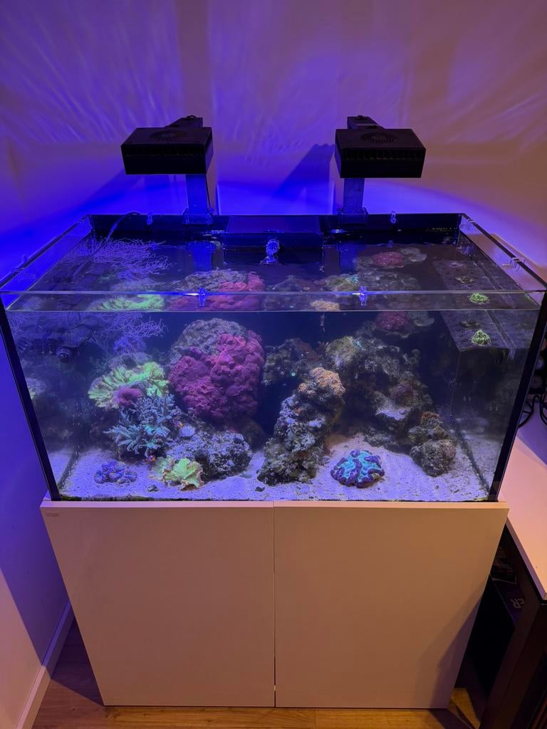 Aquaja 400 zee-reef aquarium met meubel en toebehoren, Dieren en Toebehoren, Ophalen, Gebruikt, Gevuld zeewateraquarium