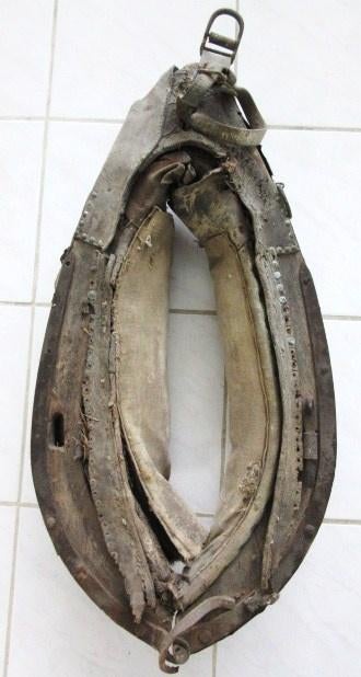 Oud paard gareel tuig - landelijk boerderij paarden, Dieren en Toebehoren, Ophalen of Verzenden, Overige soorten