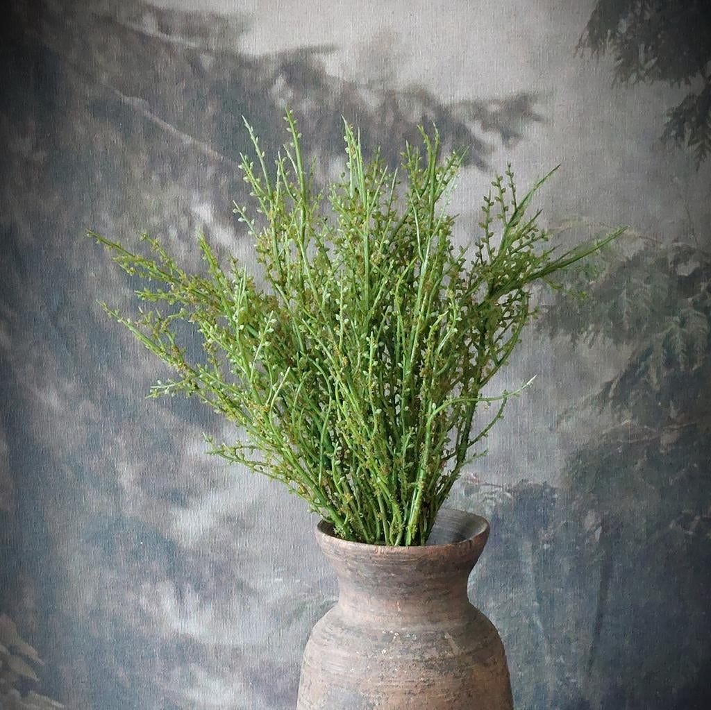 Bosje bessentakken "groen", Ophalen of Verzenden